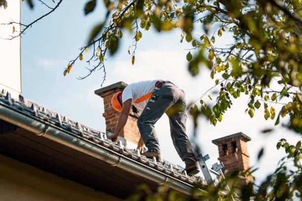 Best Flat Roof Repair Services  in Big Bend, WI