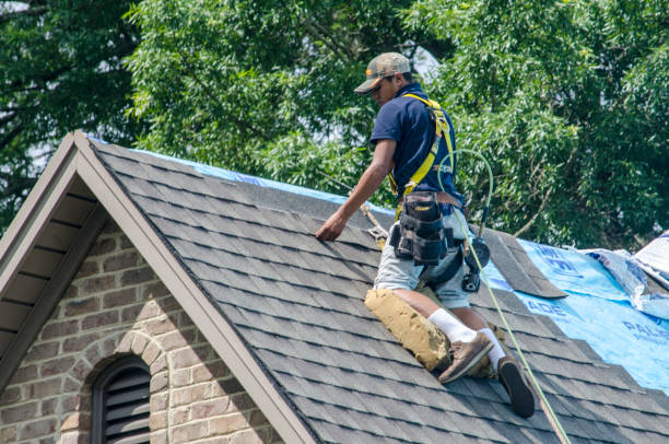 Best Emergency Roof Repair  in Big Bend, WI